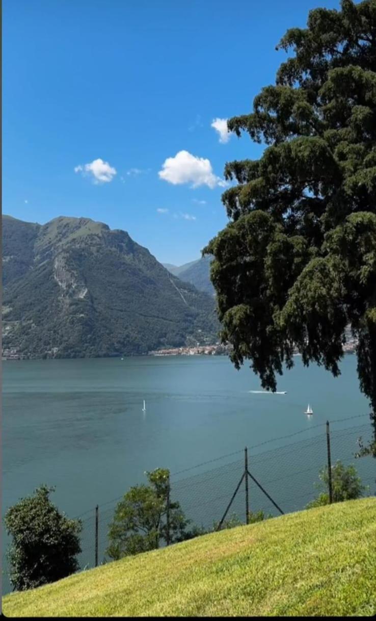 Villa Meraviglia - Villa With Breathtaking Lake Como Views Колико Екстериор снимка